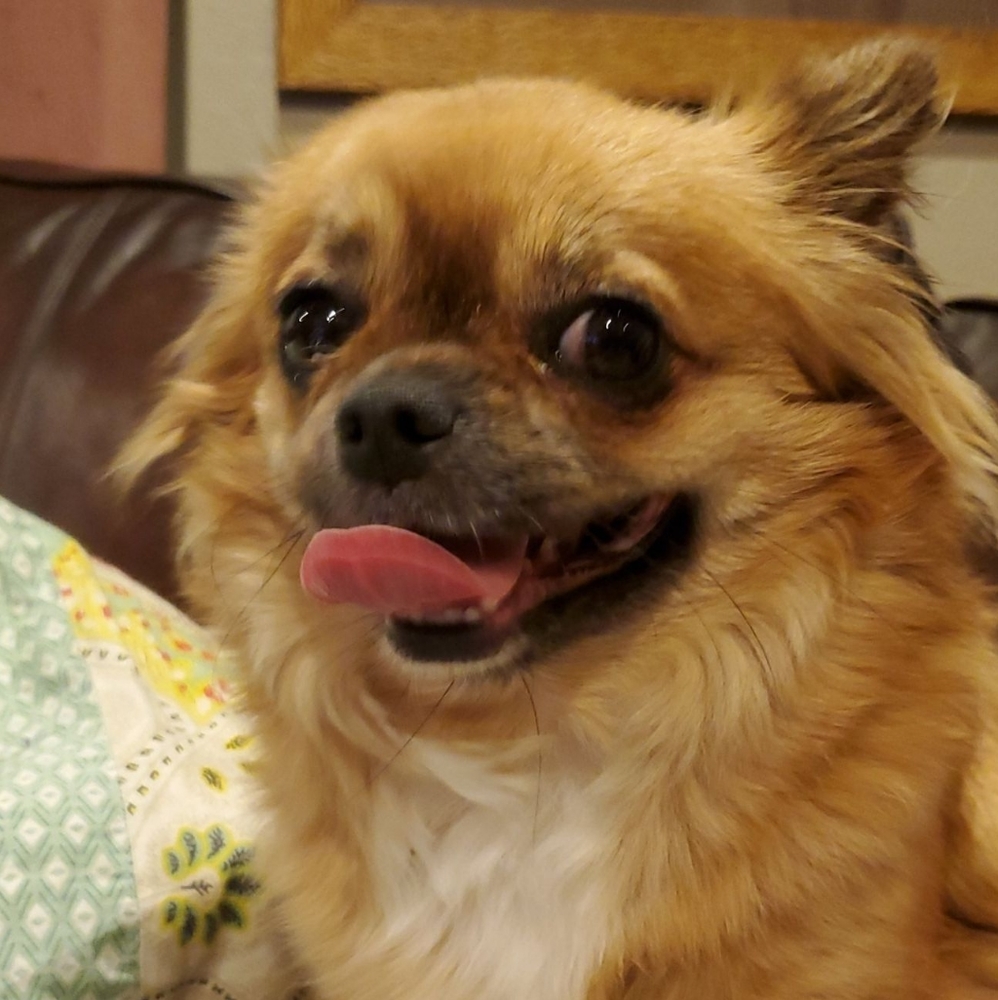 Meet your Posher, Lindsey